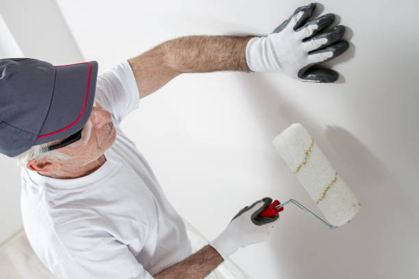 Best Emergency Mold Remediation  in St Cloud, MN