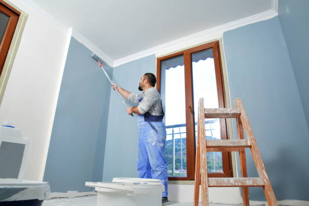 Best Environmental Consulting for Mold Prevention  in St Cloud, MN