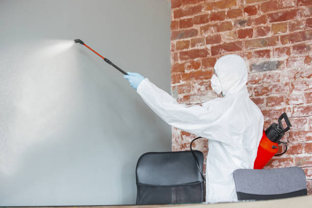 Best Forensic Mold Investigation  in St Cloud, MN