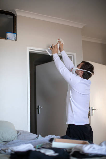 Mold Documentation for Insurance Claims in St Cloud, MN