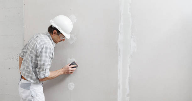 Best Air Quality Testing for Mold Spores  in St Cloud, MN