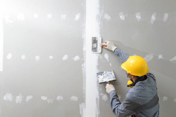 Best Environmental Consulting for Mold Prevention  in St Cloud, MN
