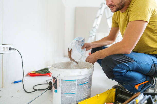 Best Forensic Mold Investigation  in St Cloud, MN