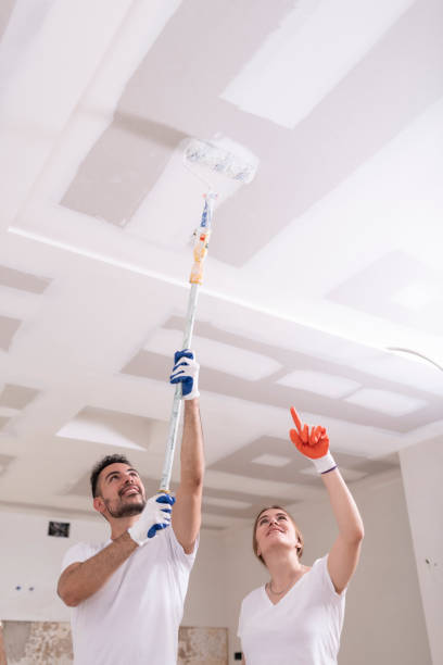 Best Mold Damage Restoration  in St Cloud, MN