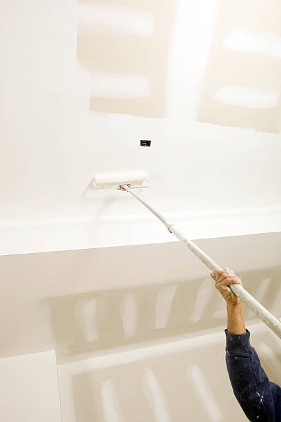 Best Indoor Air Quality Assessment  in St Cloud, MN
