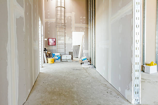 Best Basement Mold Removal  in St Cloud, MN