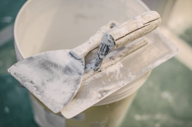 Forensic Mold Investigation in St Cloud, MN
