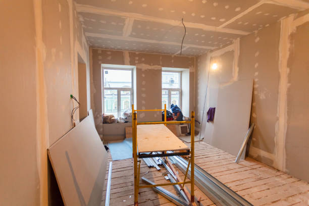 Best Comprehensive Air Testing for Mold Contaminants  in St Cloud, MN