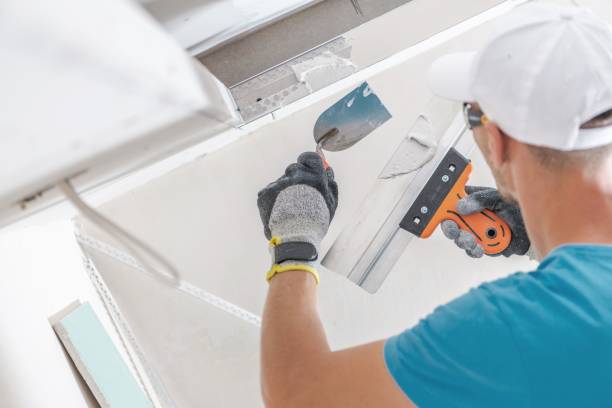 Best Mold Removal for HVAC Installations  in St Cloud, MN